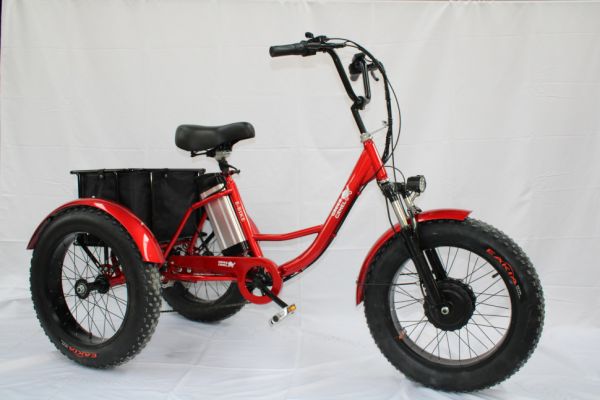 Электровелосипед трехколесный GreenCamel Трайк-F20 (48V 500W)